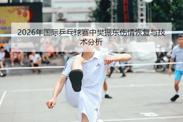 2026年国际乒乓球赛中樊振东伤情恢复与技术分析