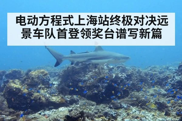 电动方程式上海站终极对决远景车队首登领奖台谱写新篇